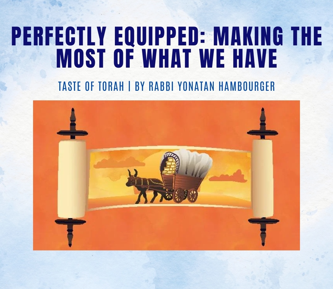 Perfectly Equipped: Making the Most of What We Have Perfectly Equipped: Making the Most of What We Have
