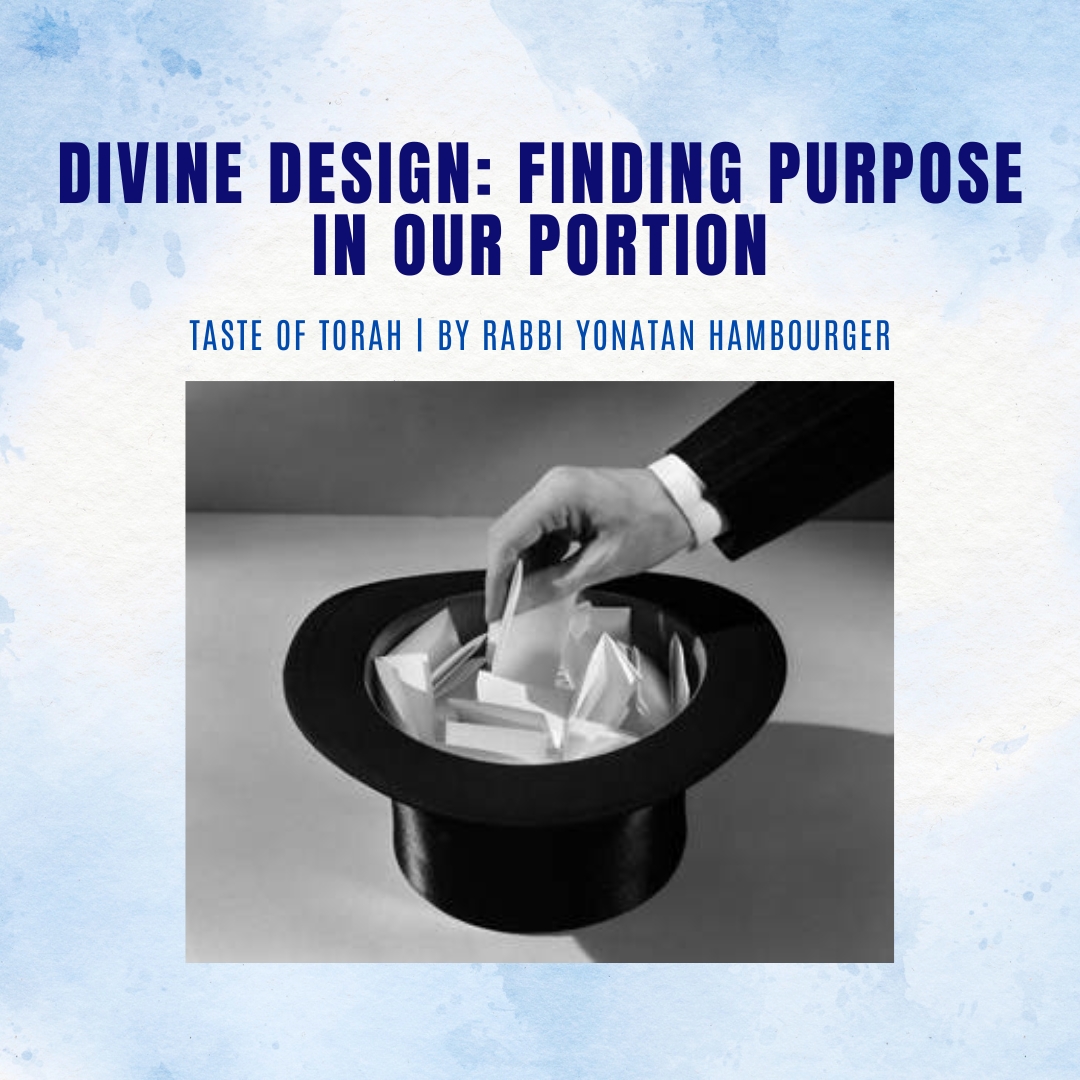 Divine Design: Finding Purpose in Our Portion