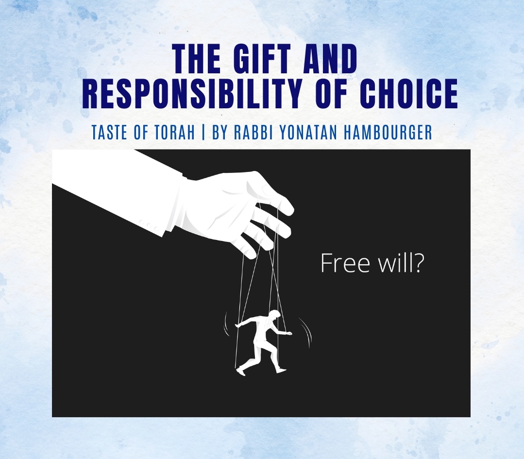The Gift and Responsibility of Choice The Gift and Responsibility of Choice
