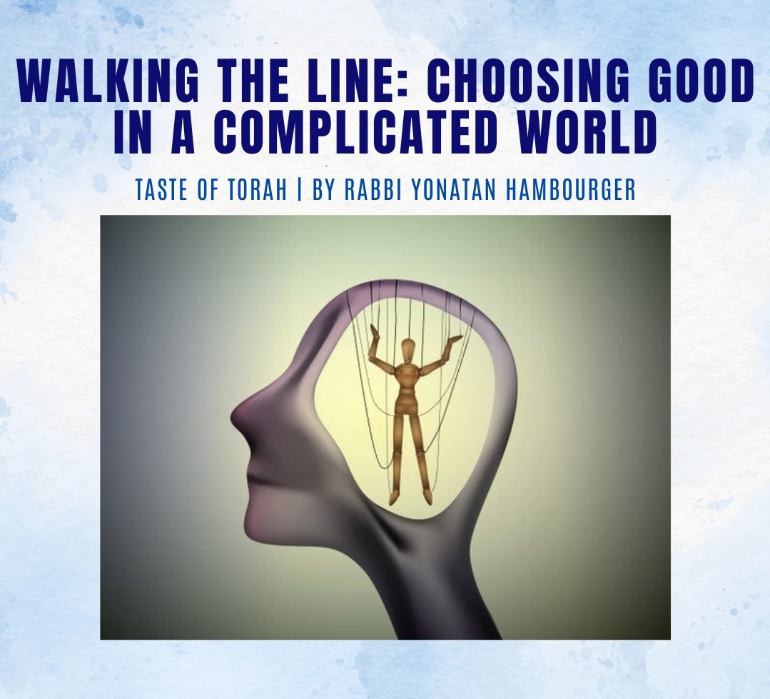 Walking the Line: Choosing Good in a Complicated World Walking the Line: Choosing Good in a Complicated World
