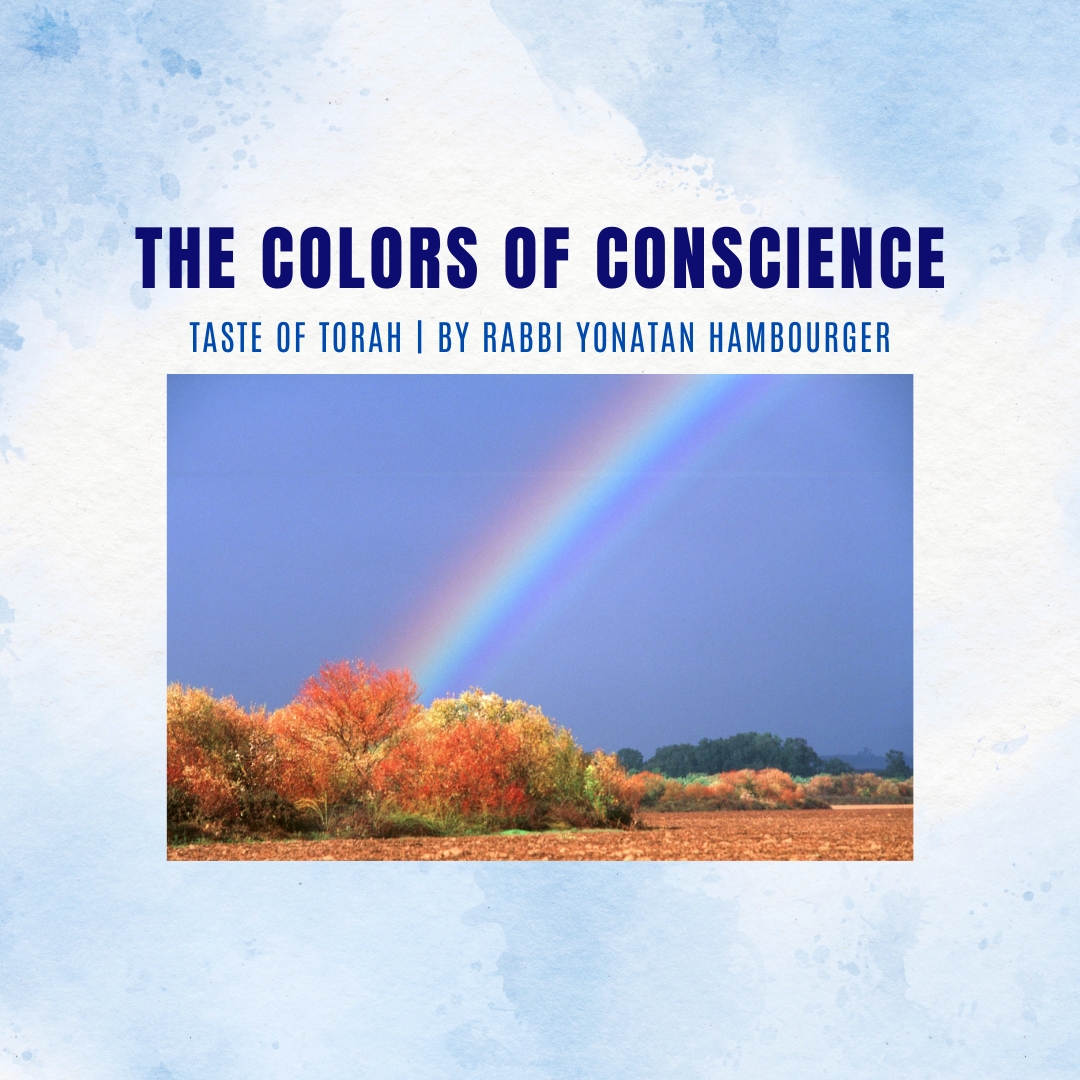 The Colors of Conscience The Colors of Conscience