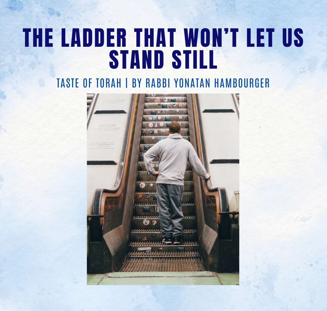 The Ladder That Won’t Let Us Stand Still