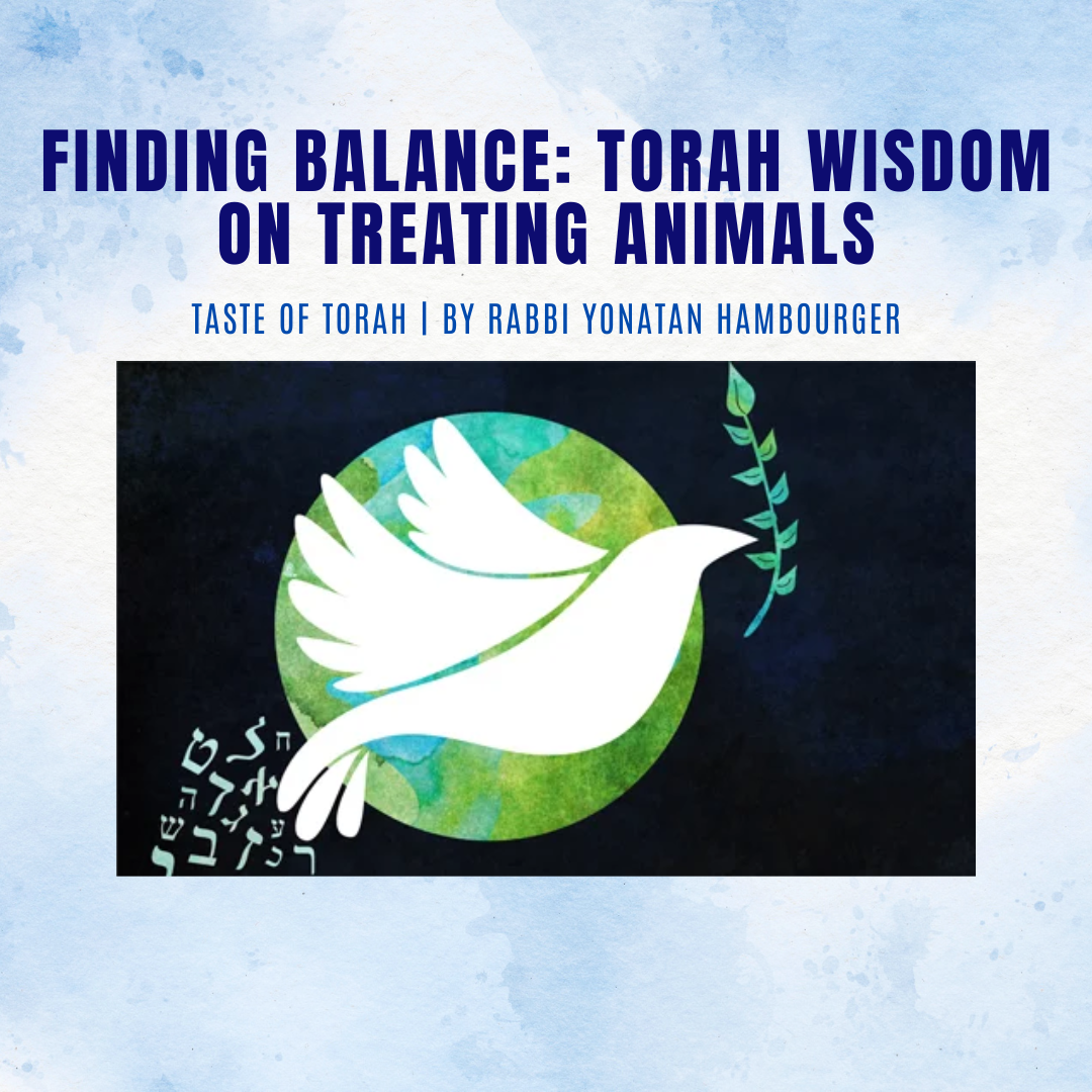 Finding Balance: Torah Wisdom on Treating Animals Finding Balance: Torah Wisdom on Treating Animals