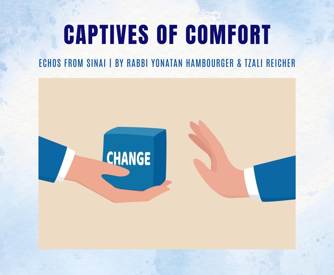 Captives of Comfort Captives of Comfort