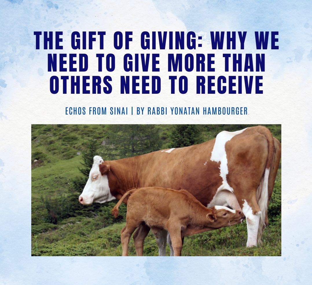 The Gift of Giving: Why We Need to Give More Than Others Need to Receive The Gift of Giving: Why We Need to Give More Than Others Need to Receive