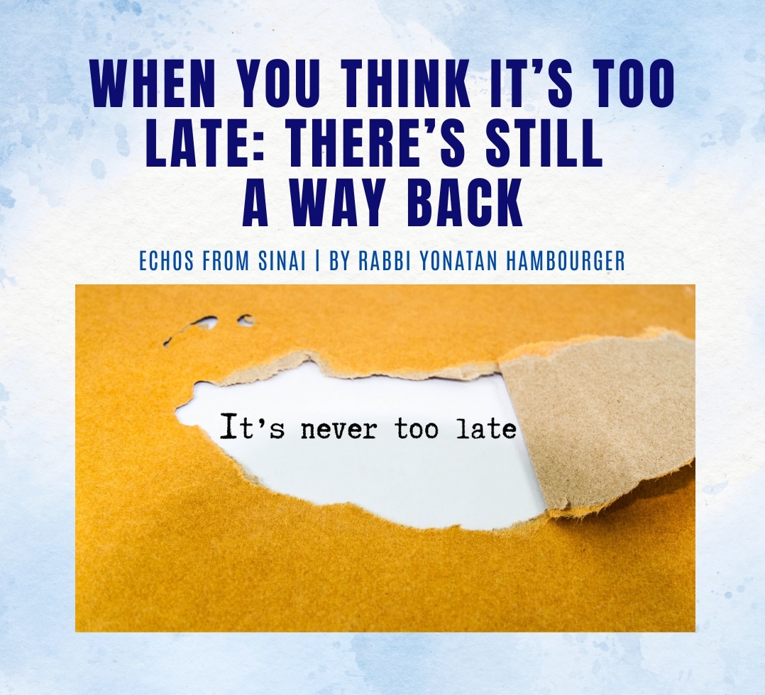When You Think It’s Too Late: There’s Still a Way Back When You Think It’s Too Late: There’s Still a Way Back