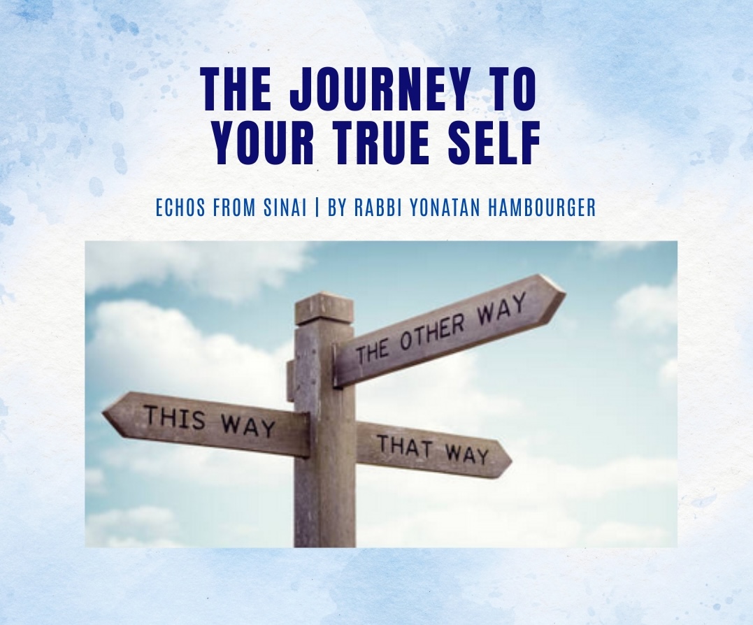 The Journey to Your True Self The Journey to Your True Self