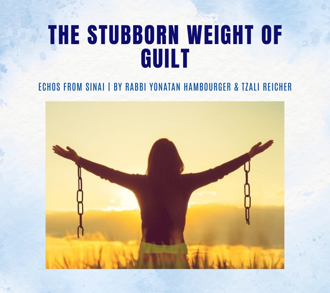 The Stubborn Weight of Guilt The Stubborn Weight of Guilt