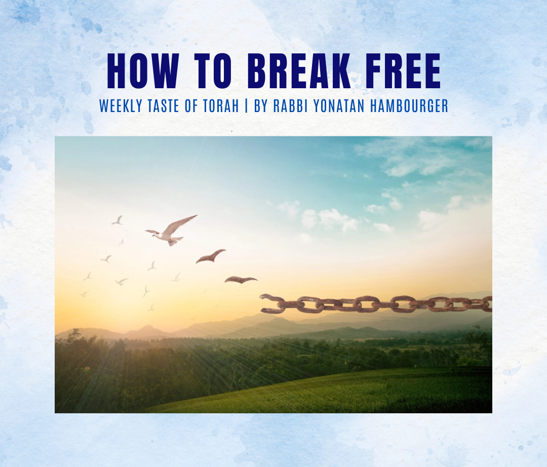 How to Break Free