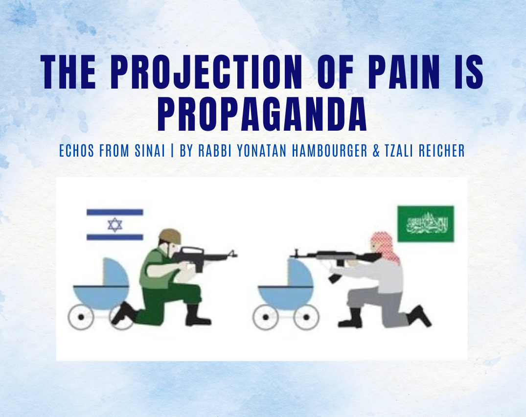 The Projection of Pain is Propaganda