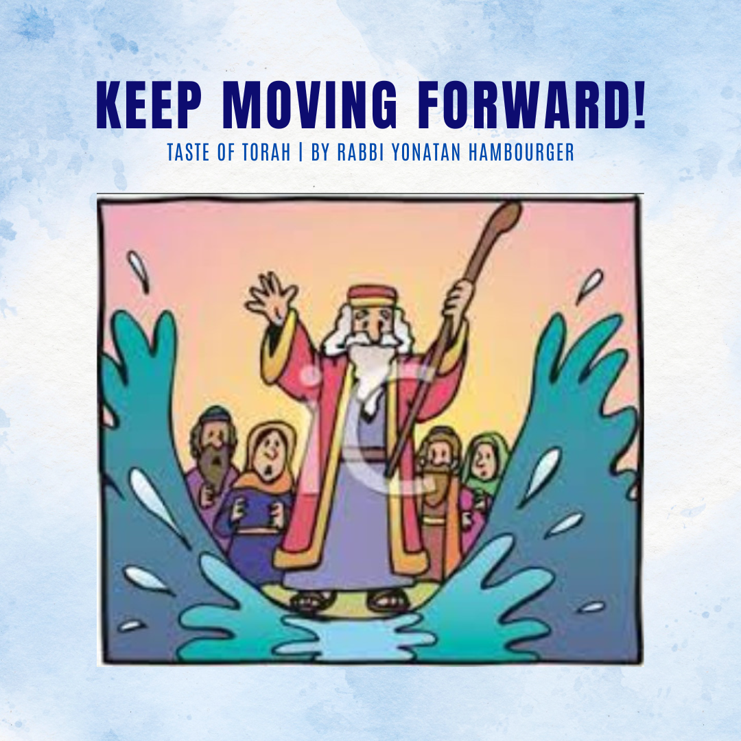 Keep Moving Forward!
