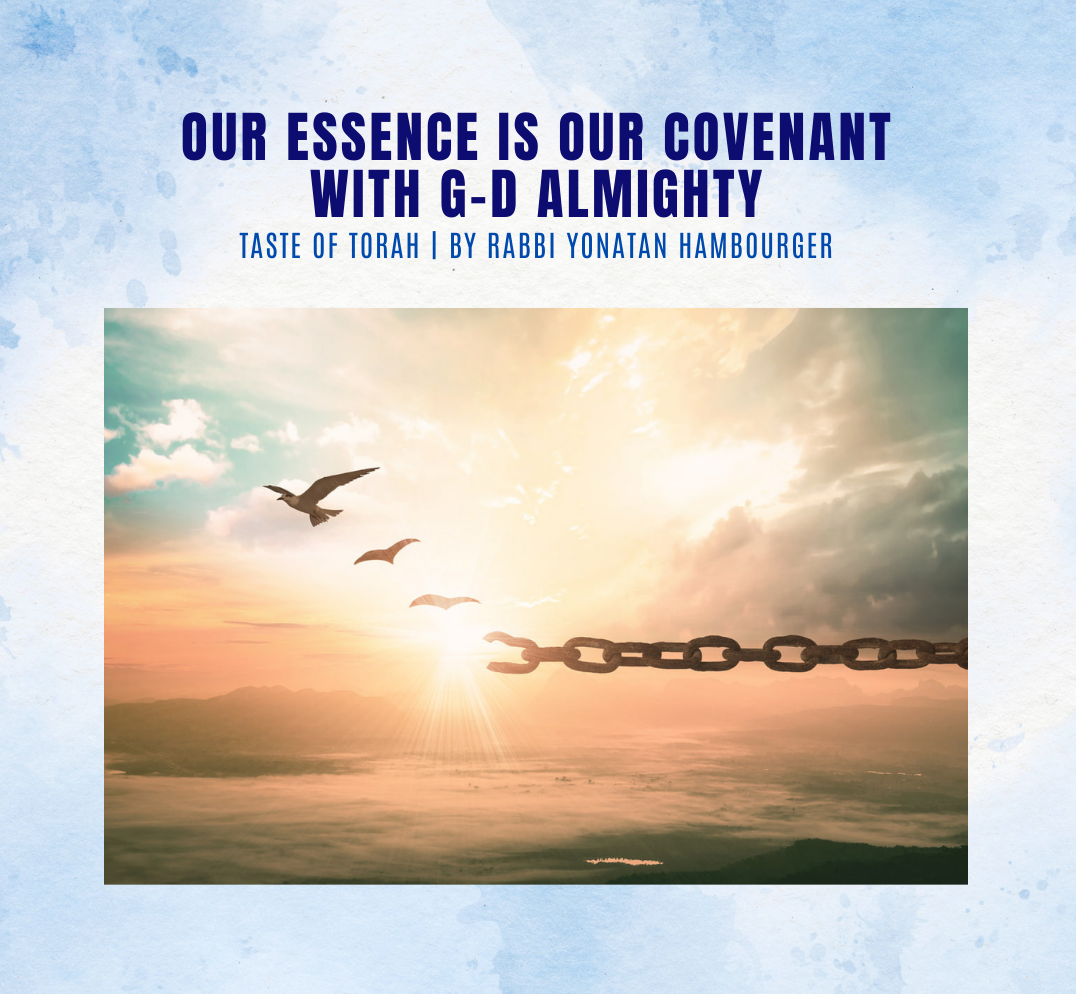 Our essence is our covenant with G-d Almighty