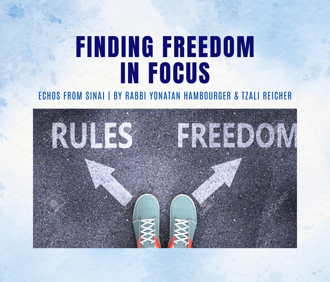 Finding Freedom In Focus