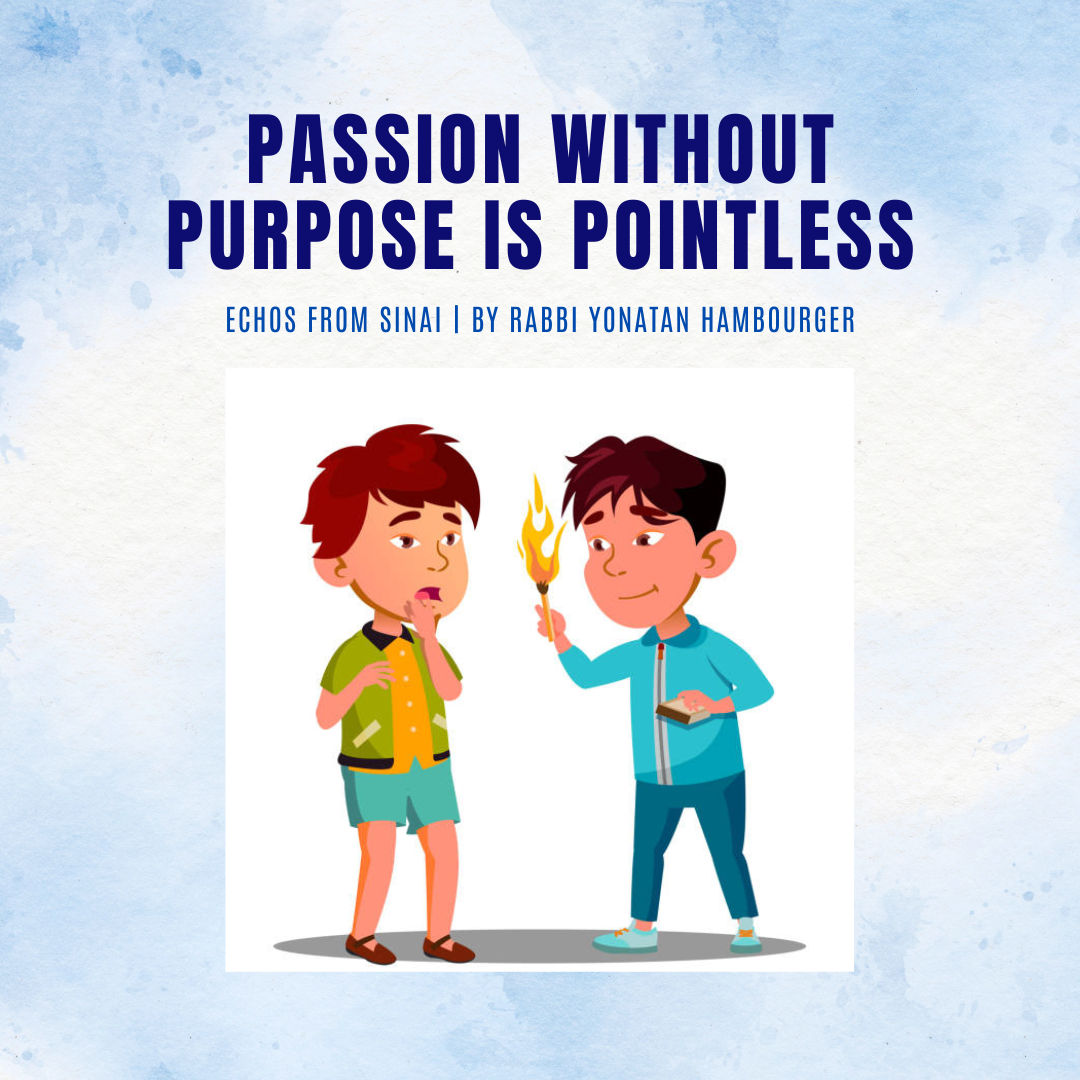 Passion Without Purpose Is Pointless