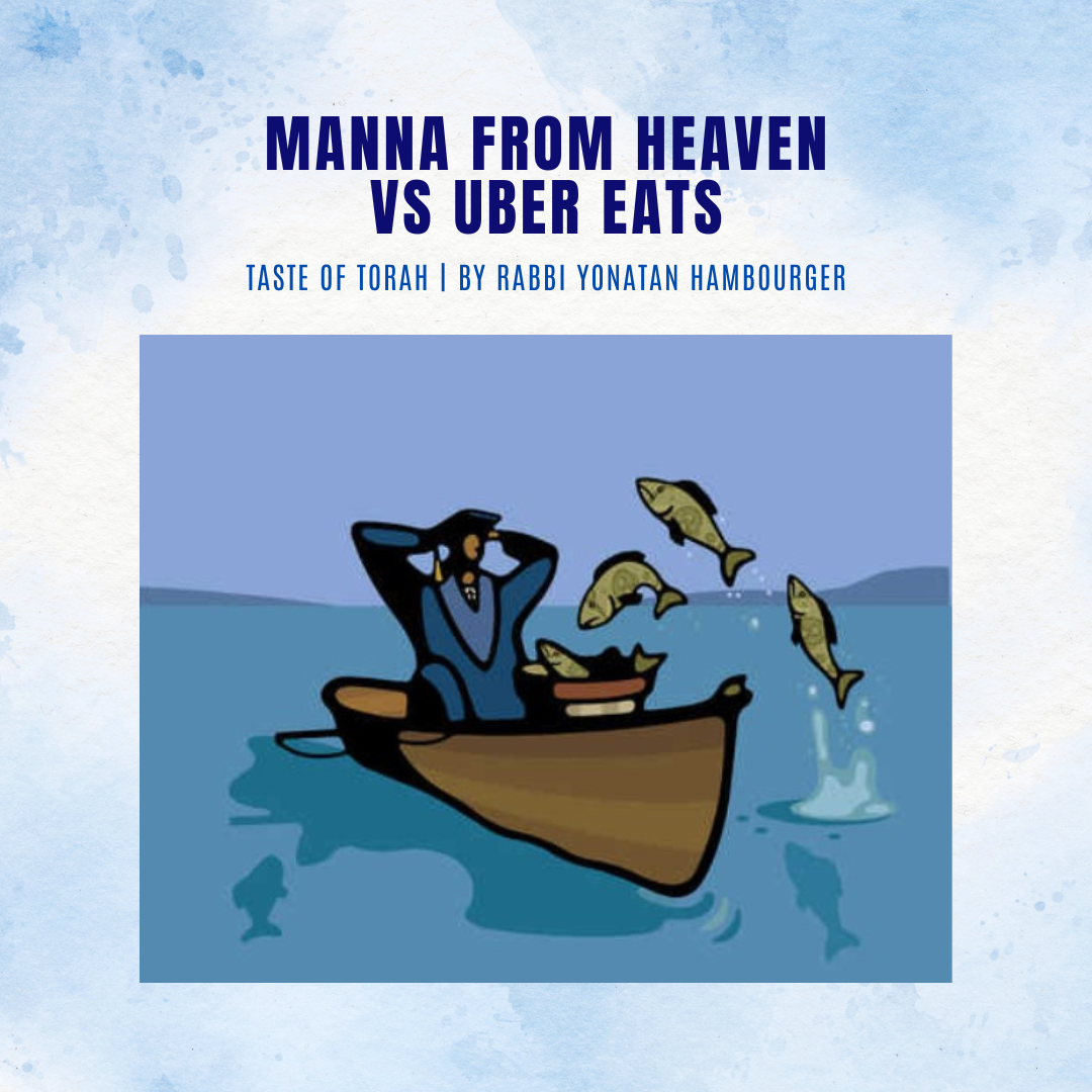 Manna From Heaven vs Uber Eats