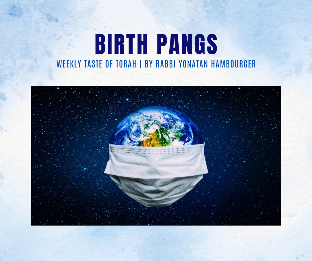 Birth Pangs