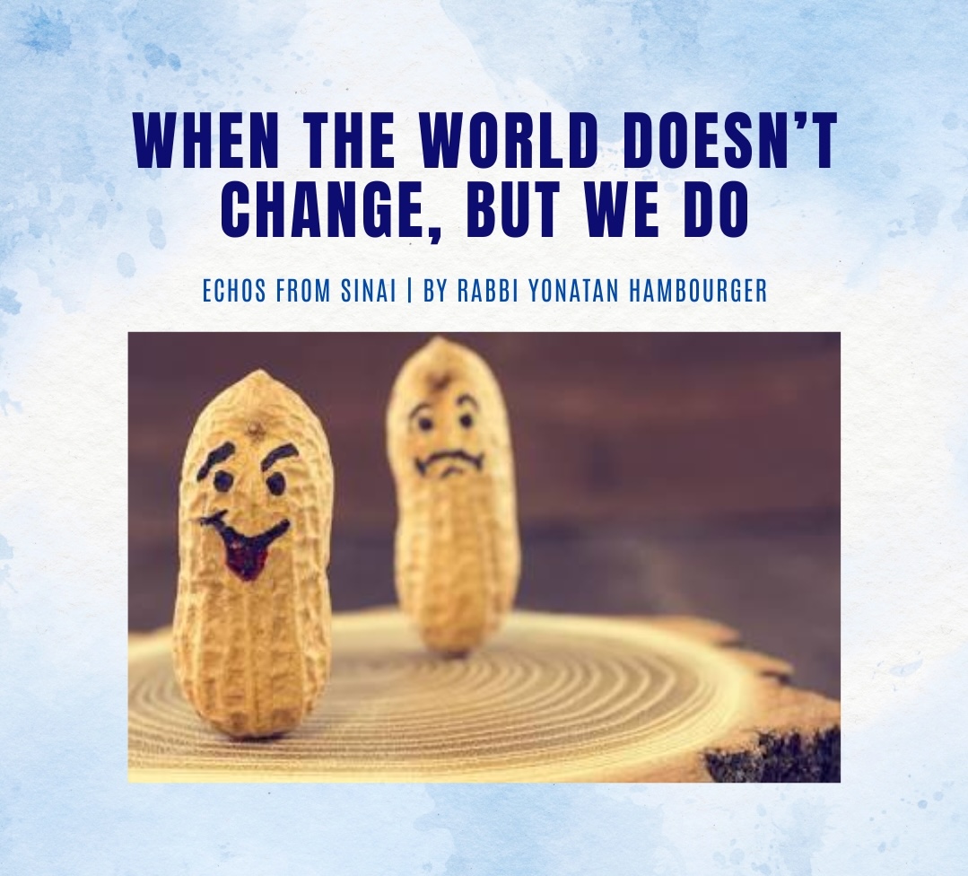 When the World Doesn’t Change, But We Do When the World Doesn’t Change, But We Do
